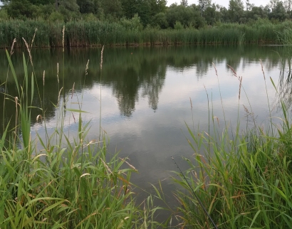 Centrum Pojednania Księża Misjonarze Saletyni