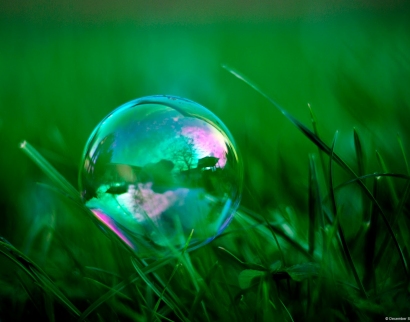 Narva Kristlik Kogodus Jumala Sõna