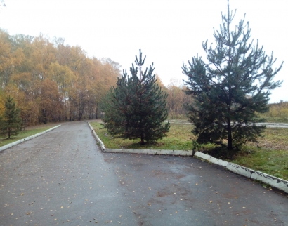 Часовня С Купелью И Родник Святой Ксении Петербуржской