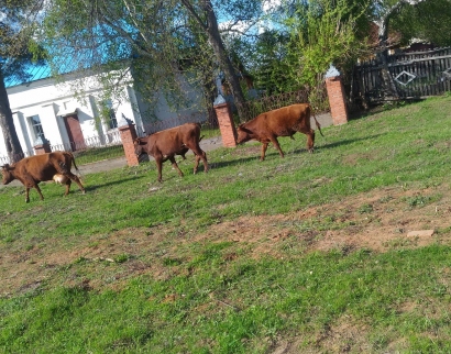 Охлебининская церковь