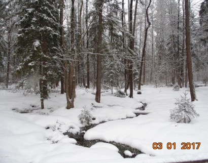 Церковь Богоматери Живоносный Источник (св. источник)