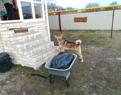 Церковь Михаила Архангела