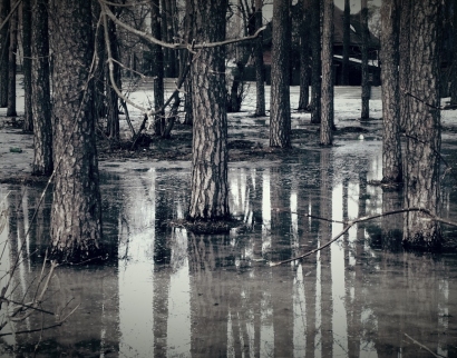 Храм Новомучеников и Исповедников Российских в Заречье