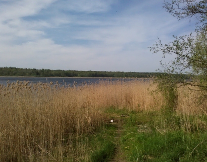 Храм Усекновения Главы Иоанна Предтечи