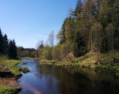 Святой Оковецкий Источник