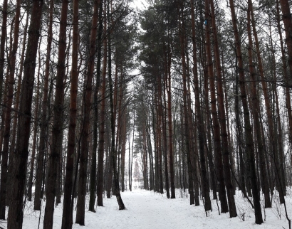 Филаретовская церковь