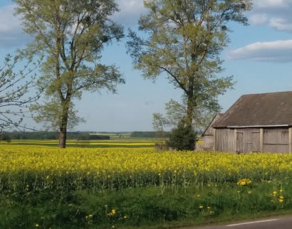 Cerkiew pod wezwaniem Świętych Męczenników Chełmskich