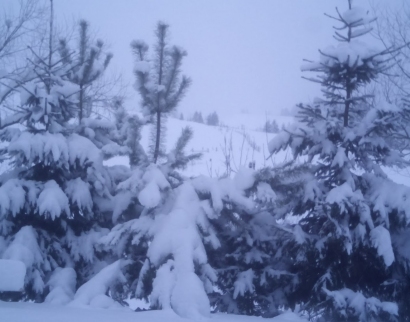 Церква Пресвятої Трійці