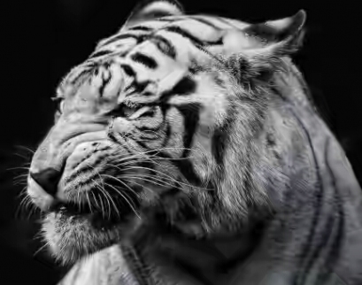 Церковь Рождества Пресвятой Богородицы