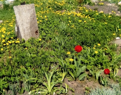 Храм Св. Архангела Михаила