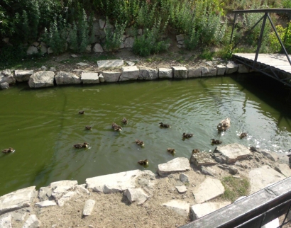 Церковь Пресвятой Троицы В Щурово