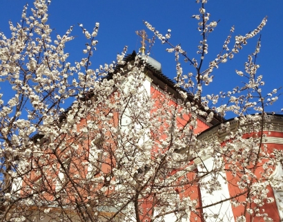 Храм Воскресения Христова в Пленницах