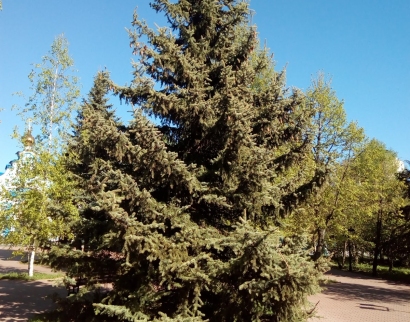 Церковь Всех Святых