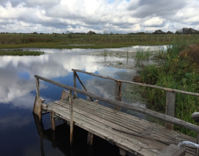 Купальня Параскевы Пятницы