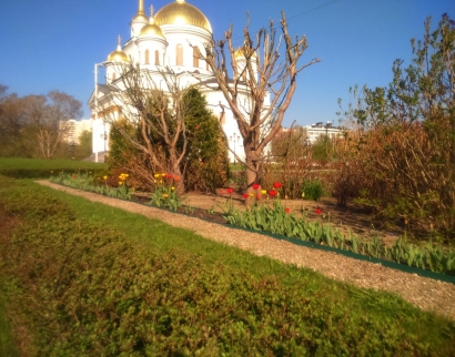 Собор Александра Невского
