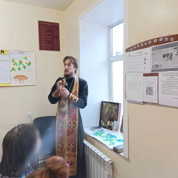 ​СОЦИАЛЬНОЕ СЛУЖЕНИЕ: ТАИНСТВА В ПСИХИАТРИЧЕСКОЙ БОЛЬНИЦЕ